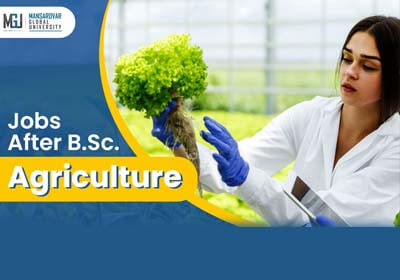 Jobs After B.Sc. Agriculture